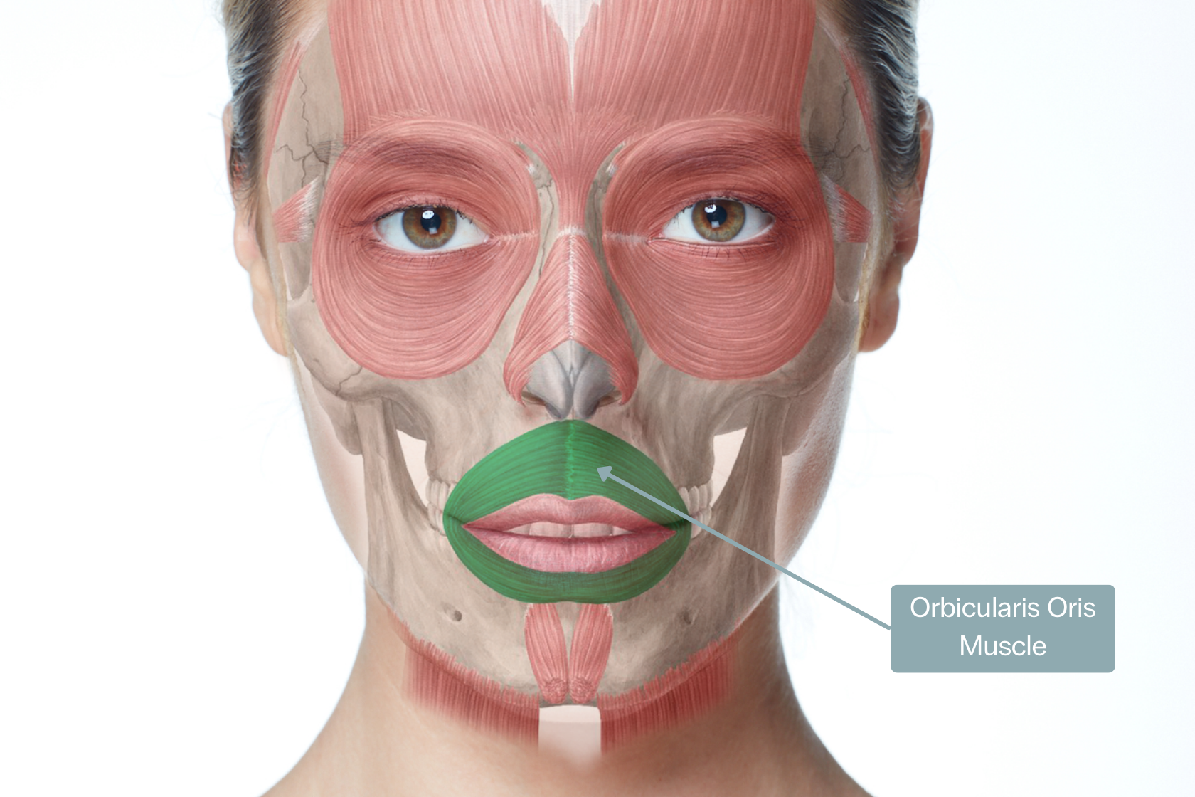 Smokers lines botox